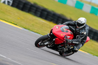 PJ-Motorsport-2019;anglesey-no-limits-trackday;anglesey-photographs;anglesey-trackday-photographs;enduro-digital-images;event-digital-images;eventdigitalimages;no-limits-trackdays;peter-wileman-photography;racing-digital-images;trac-mon;trackday-digital-images;trackday-photos;ty-croes